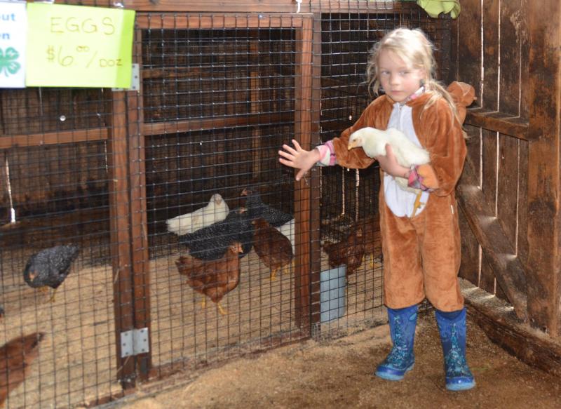 It’s the agricultural life at Aldermere Farm, on Russell Ave., in Rockport, where children are taught the fundamentals of raising animals and cultivating crops. (Photo by Lynda Clancy)