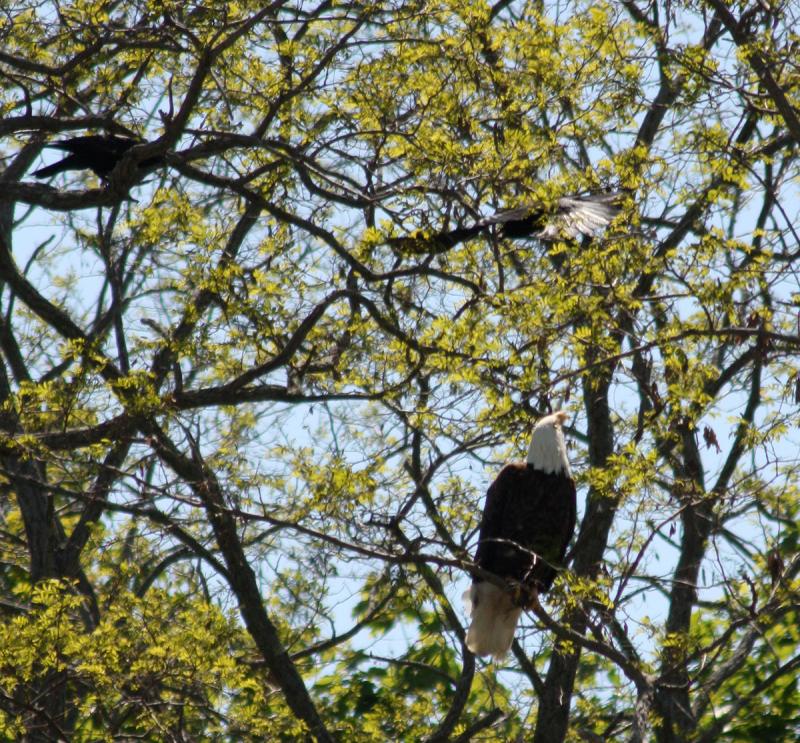 (Photo by Holly S. Edwards)