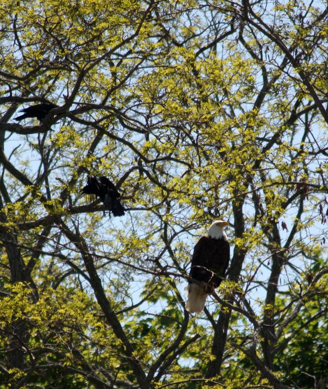 (Photo by Holly S. Edwards)