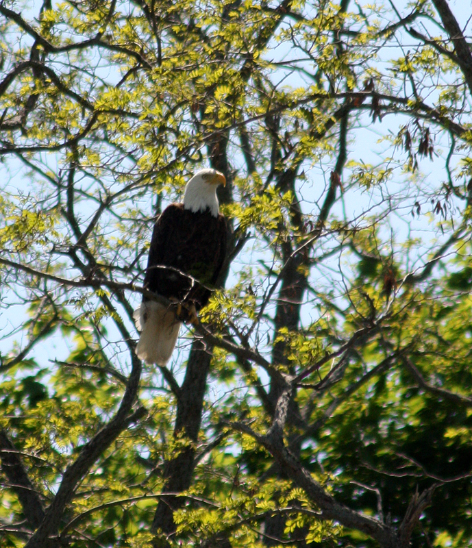 (Photo by Holly S. Edwards)