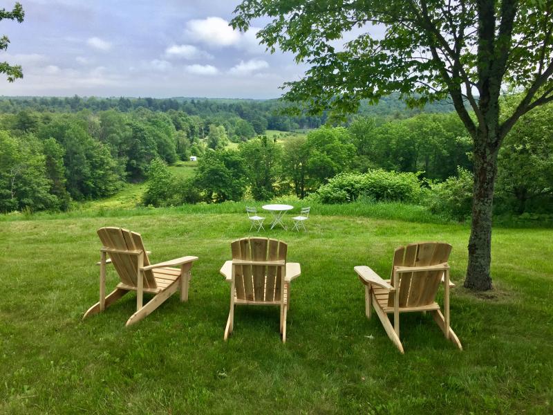 The field behind the gallery, soon to include a vineyard. SUZI THAYER/Boothbay Register
