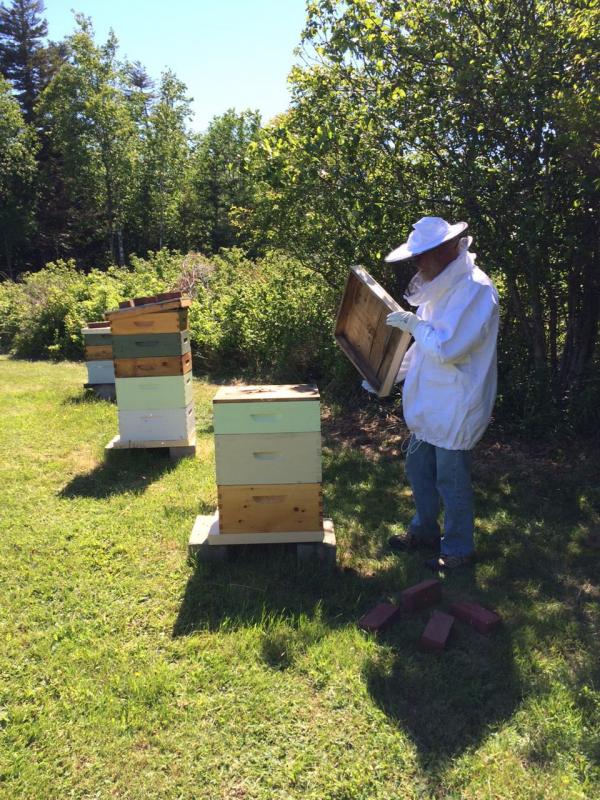 Joe Bray checks in with his bees.