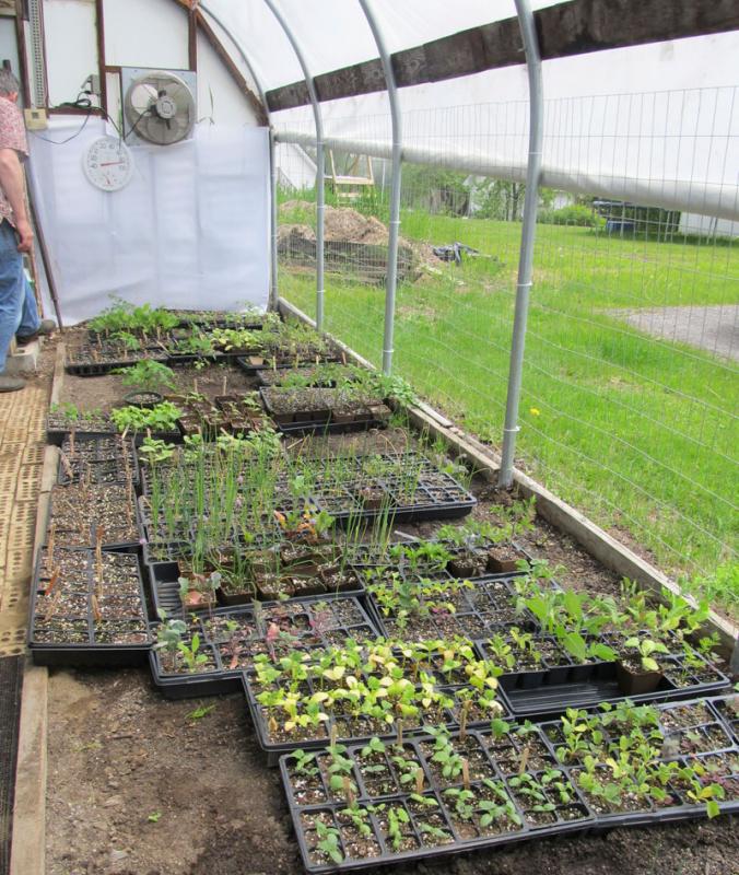 The partially used greenhouse is now a full-fledged working greenhouse.