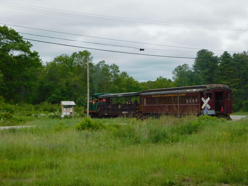 Train crossing Oak Hill Road in Belfast. (photo by Erica Thoms)