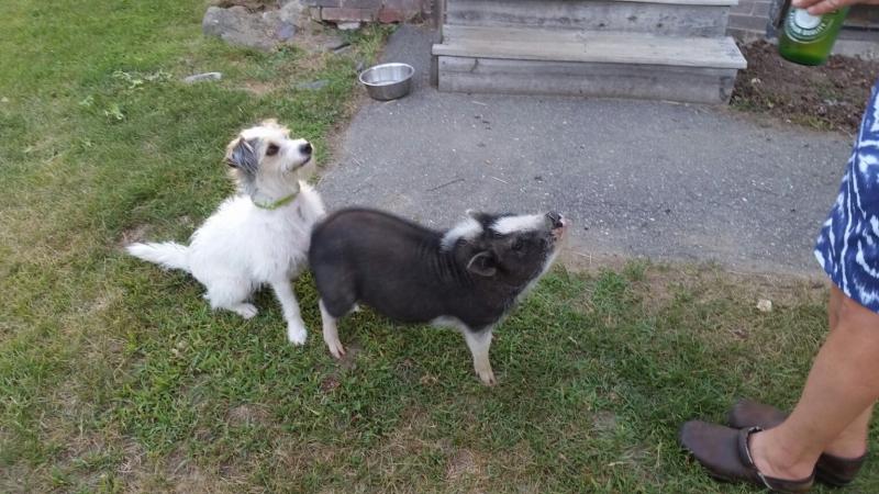 May and her buddy Bash. (Photo by Sarah Shepherd)