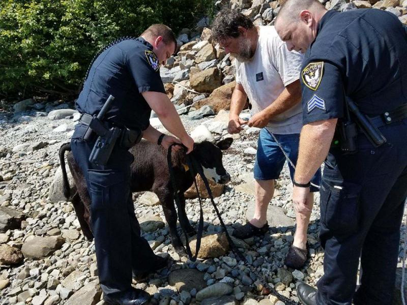 (photo courtesy of the Belfast Police Department)
