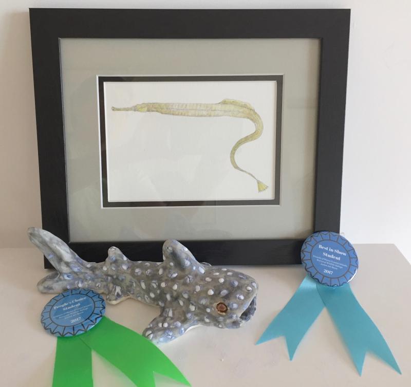 Student pieces for Best in Show and People’s Choice of juried art show: Common Pipefish by Verity Boyer, Exeter, NH and Whale Shark by Deegan Shi, Camden. Photo courtesy Carney Doucette.