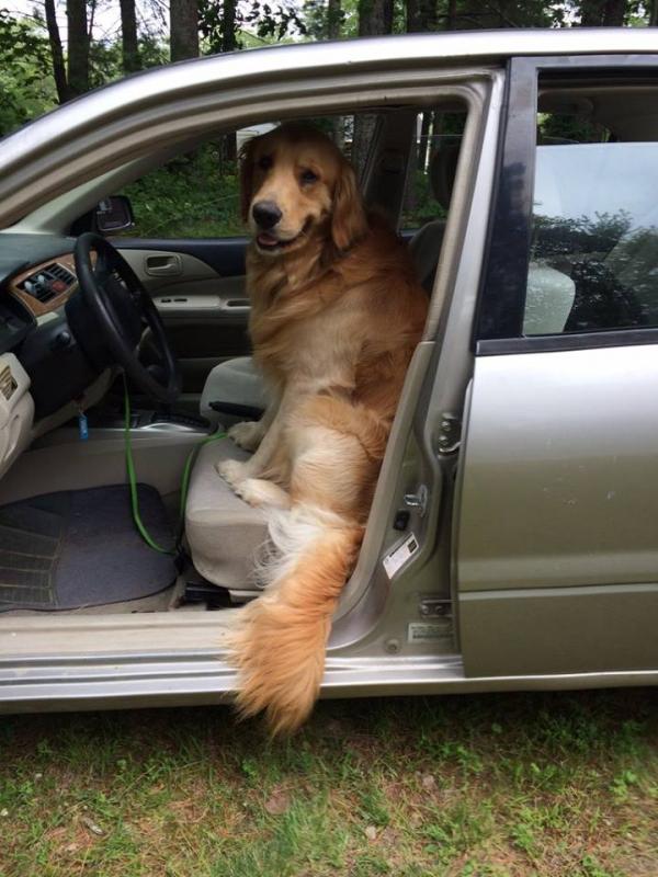 I’m ready for work Dad!