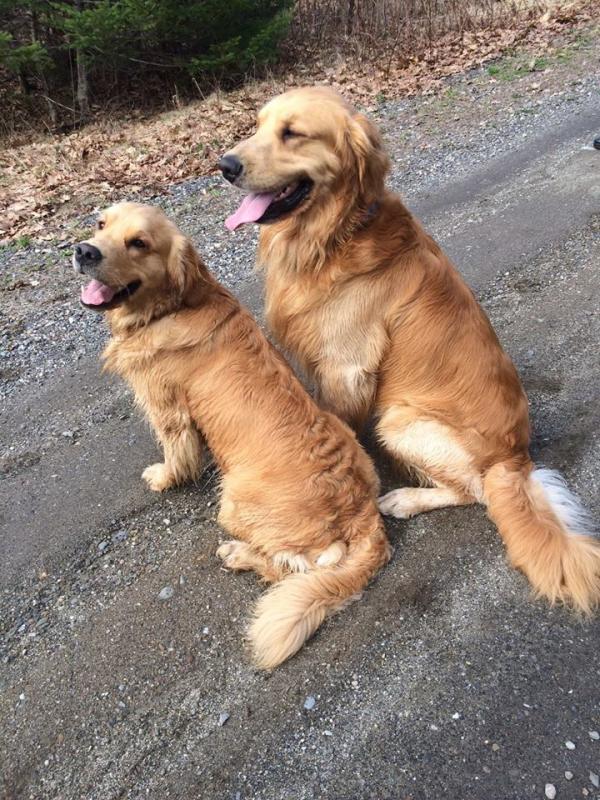 Max and Scout