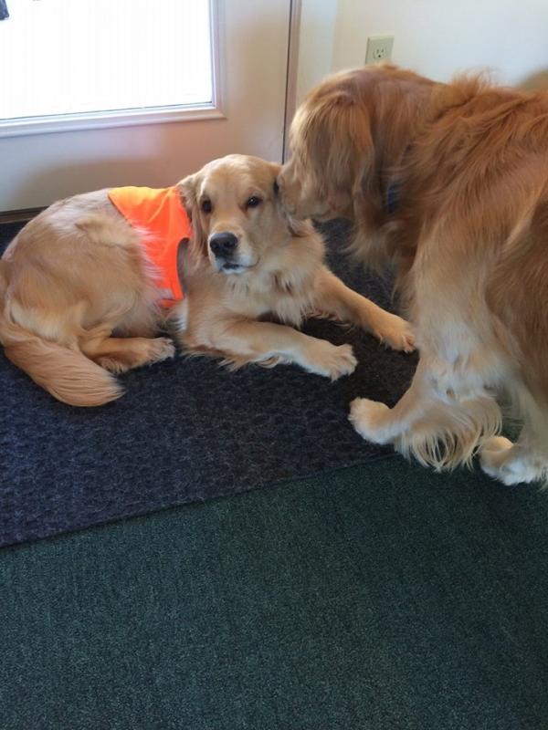 What is Max whispering into Scout’s ear?