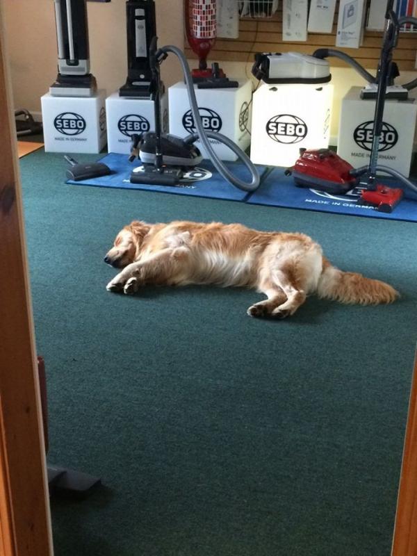An afternoon nap.