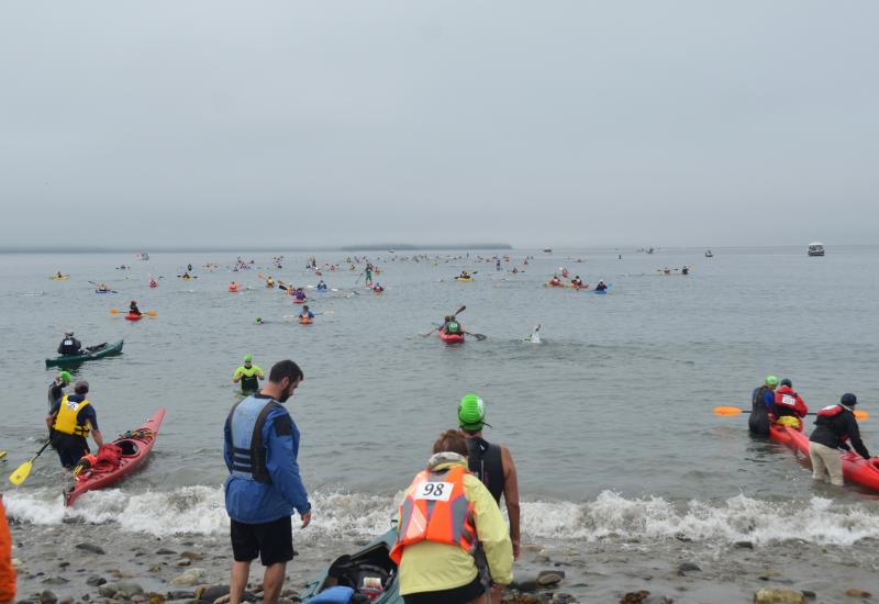 Off they go. Three miles of swimming through Penobscot Bay waters.(Photo by Lynda Clancy)