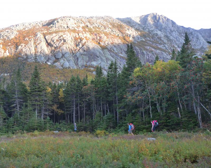 Entering Chimney Pond Campground after three hours of hiking up from the Roaring Brook parking lot. (Photo by Lynda Clancy)