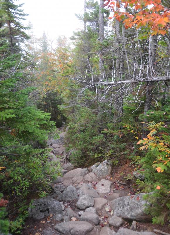 All paths are rocky around Katahdin. There’s no way around that, except when you cross manmade wooden bridges over wetlands. (Photo by Lynda Clancy)