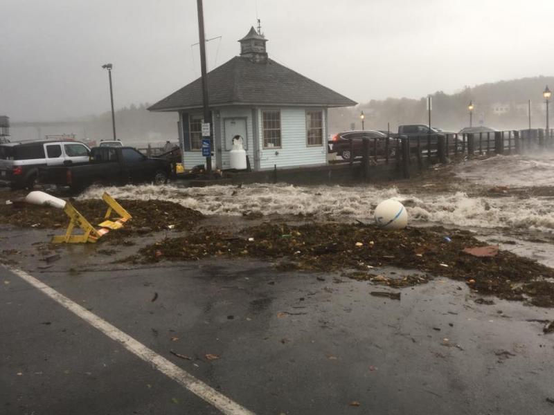 Seaweed washed ashore during the storm. (photo courtesy of the Belfast Police Department)