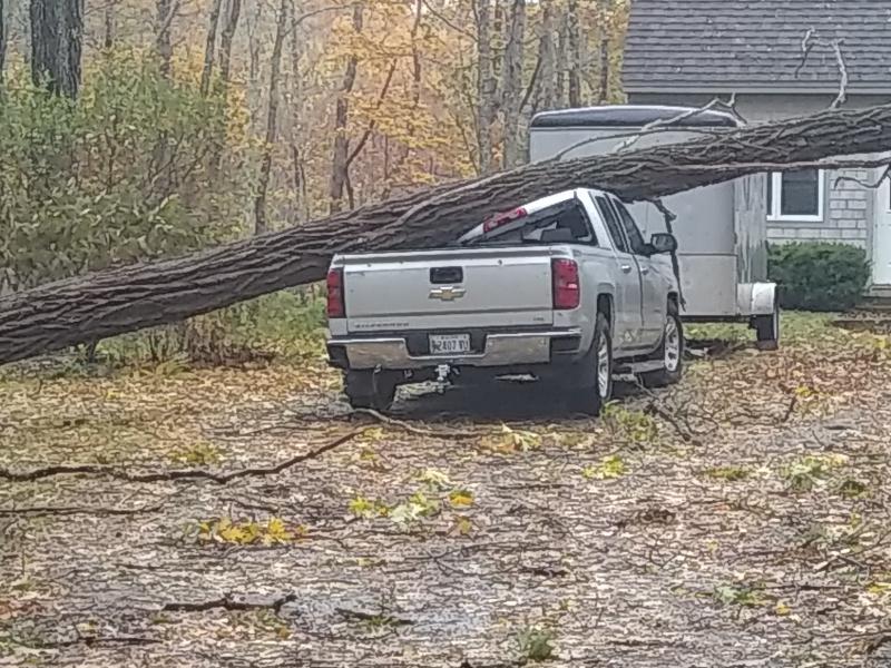A truck in Lincolnville is demolished by a tree. (Photo courtesy Rosey Gerry)