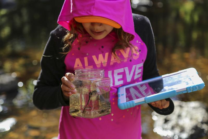 (Photo courtesy Belfast Bay Watershed Coalition)