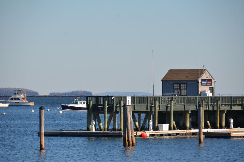 Rockland Harbor, February 2018