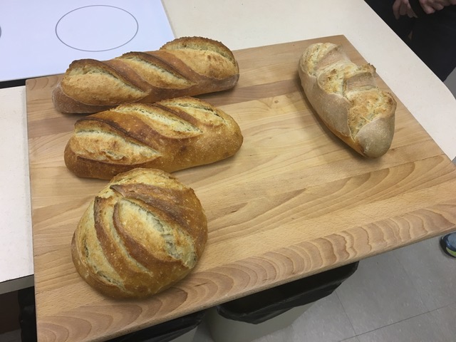 Loaves to sample: steamed, cloche and no steam for baking. Photo coutesry Bill Babb)