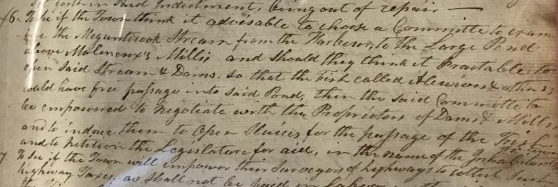 Town meeting warrant article from 1806 when the request was made to look into opening up fish passages along the river. Document can be found at the Rockport Town Office along with all the town meeting notes from before the two towns split apart.