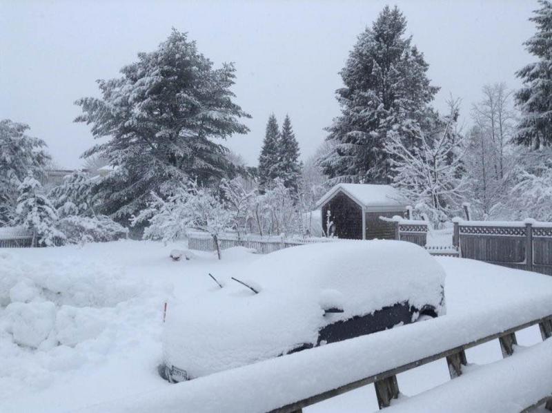 (Photo courtesy of Sue Hopkins, Camden)