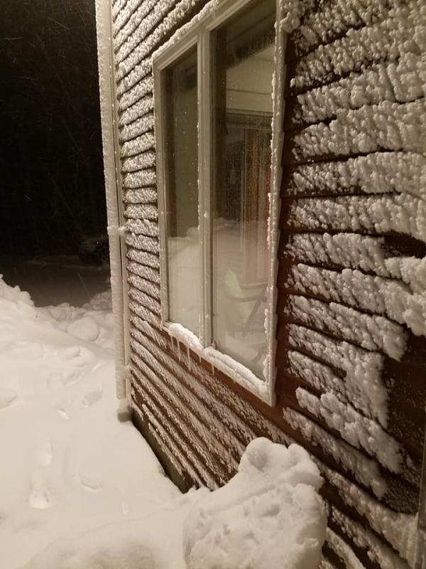 (Photo courtesy of Robin McIntosh, Camden)