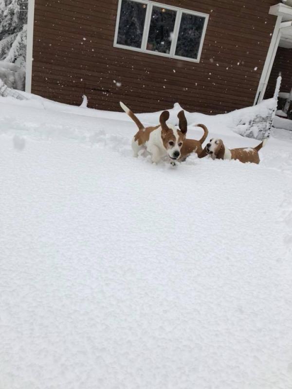 (Photo courtesy of Melissa Legare)