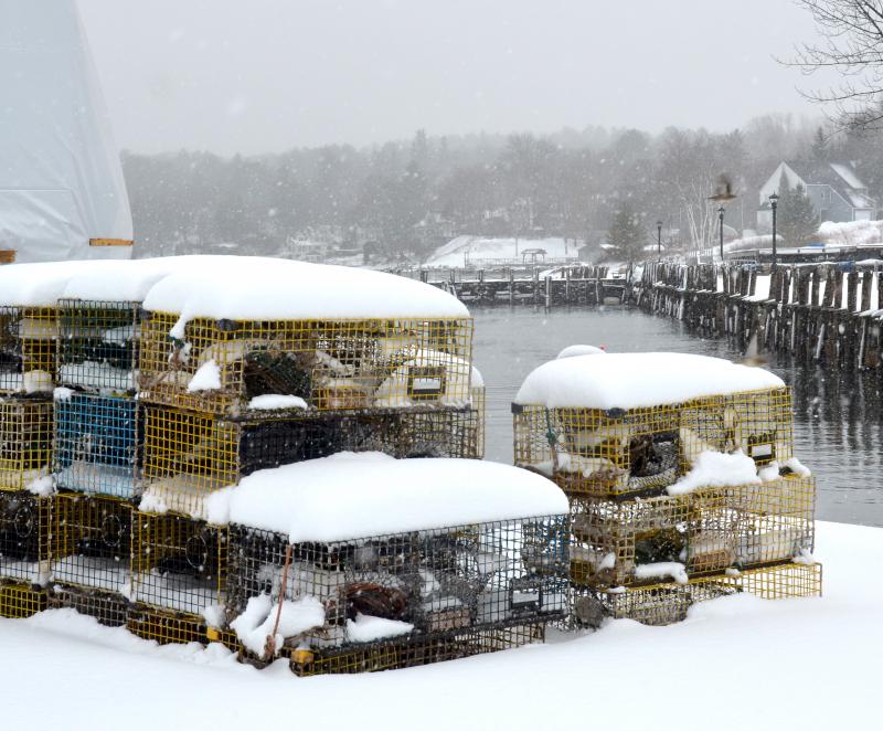Swallows have spent the winter in these traps, which were left on the wharf at Rockport Harbor. (Photo by Lynda Clancy)