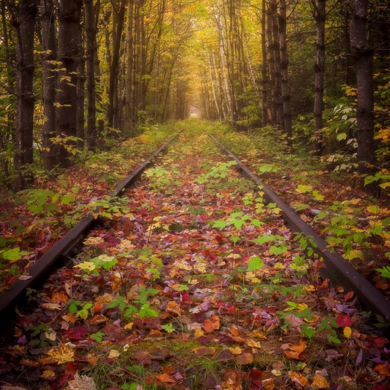 First Place, Special Theme category Remnants, “Wise and Silent” by Doug Van Kampen. Courtesy of David Hodsdon Doug Van Kampen