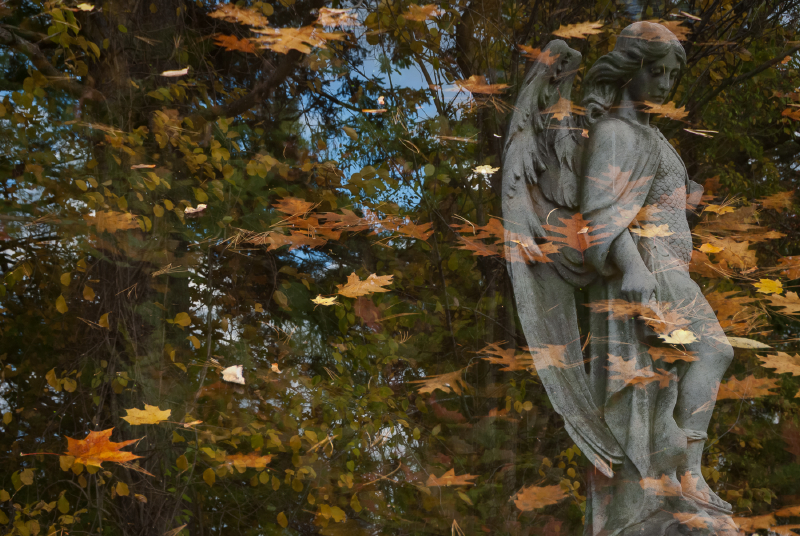 Portland-based photographer Mark Stern’s “Falling Leaves,” is the 2018 Maine Photography Show’s “Best In Show” among the 129 images selected by juror Peter Ralston. Courtesy of David Hodsdon Mark Stern Portland ME