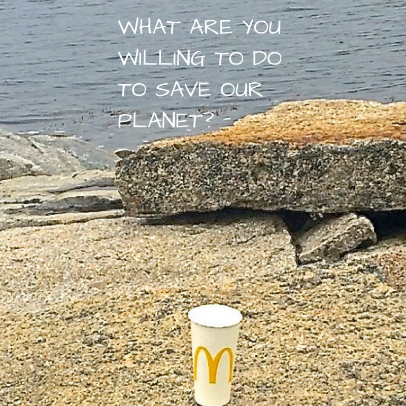 Going Zero Waste In 18 Talk At Camden Library Tonight Penbay Pilot Going Zero Waste In 18 Talk At Camden Library Tonight Penbay Pilot