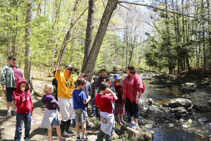 Students release Salmon fry into the Wescot Stream in Waldo. 12 Waldo County schools participated in the “Fish Friends” program. (Photo courtesy of Alice Seeger)