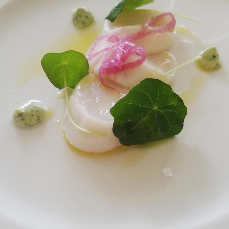 Gin cured scallops, nasturtium, tarragon and pickled onion. (Photo courtesy of THE HICHBORN)