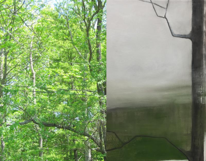 The winter ash right outside Zopp’s front door hidden in plain sight (left) and Zopp’s moody portrait of the same tree and branches (right). (Left photo by Kay Stephens. Right photo courtesy Dudley Zopp)