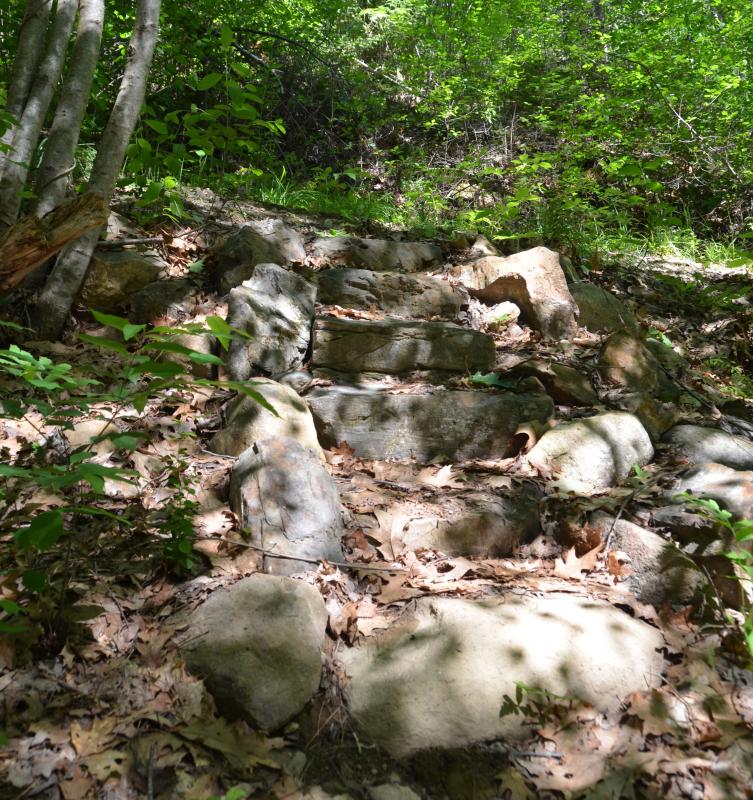 Stone steps in the Kitty Todd Arboretum were built in the 1980s by Americorps volunteers. (Photo by Lynda Clancy)