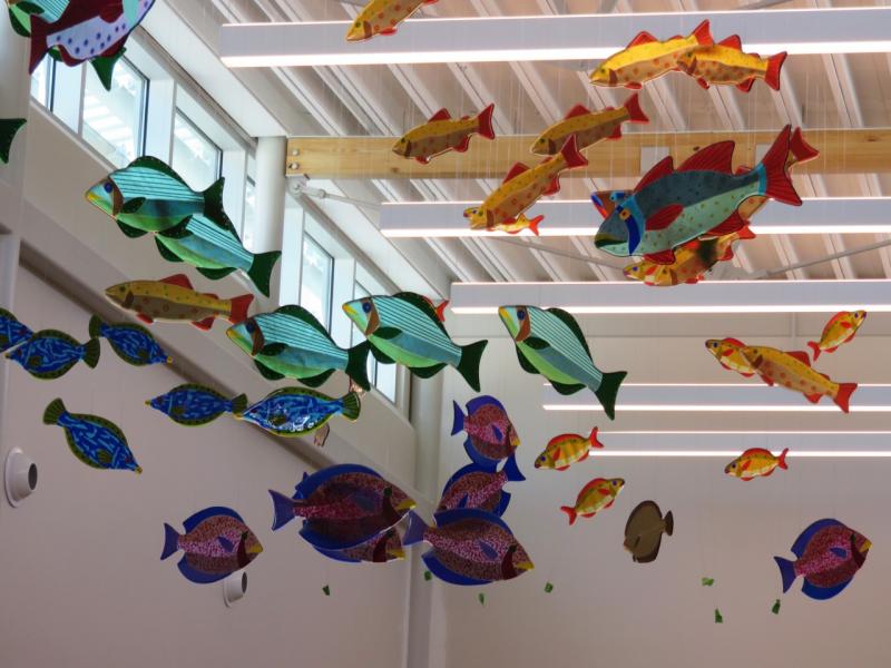 Janet Redfield’s swimming fish, now hanging in the Amanda C. Rowe Elementary School in Portland. (Photo courtesy Janet Redfield)
