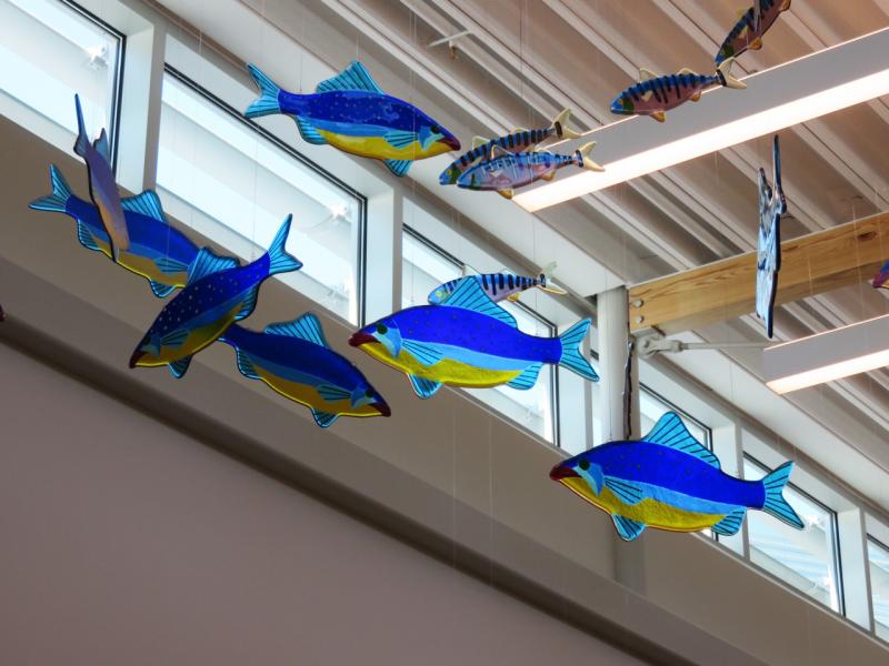 Janet Redfield’s swimming fish, now hanging in the Amanda C. Rowe Elementary School in Portland. (Photo courtesy Janet Redfield)