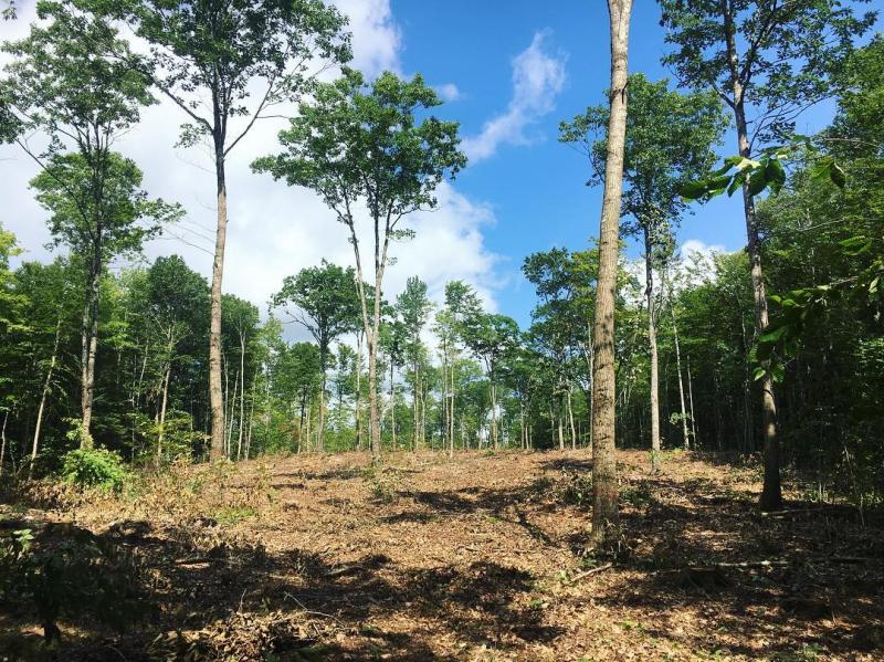 Oliver and Kelly Perkins of A Small Good recently acquired 150 acres of farmland in Hope. (Photo courtesy of A Small Good via Facebook)