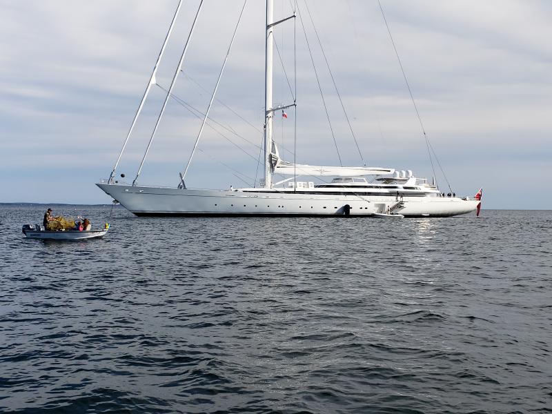 biggest single mast yacht