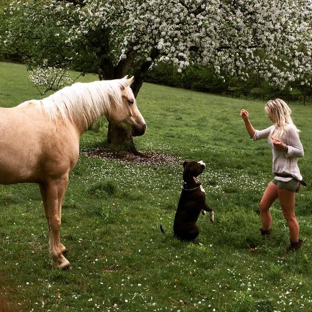 Kristen with her mother’s former horse, Oro and her dog, Diego.