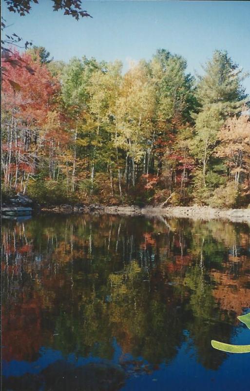 Fall foliage. (Photo courtesy Barbara F. Dyer)