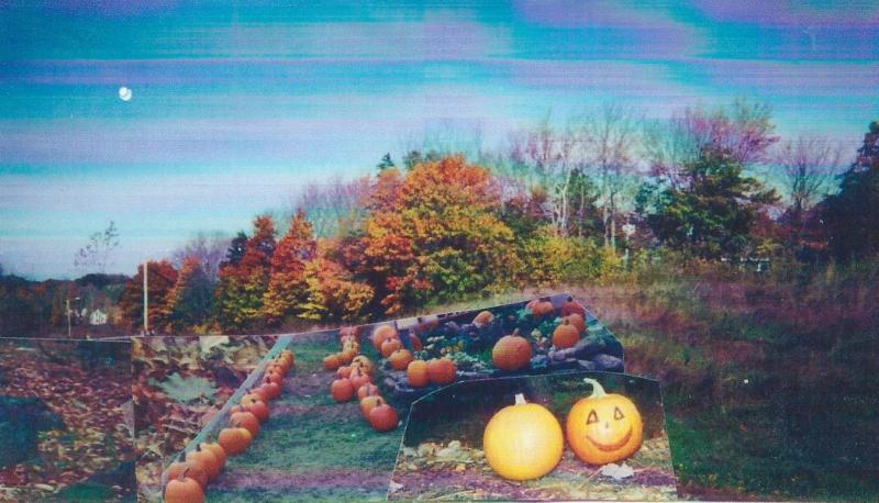 Halloween. (Photo courtesy Barbara F. Dyer)