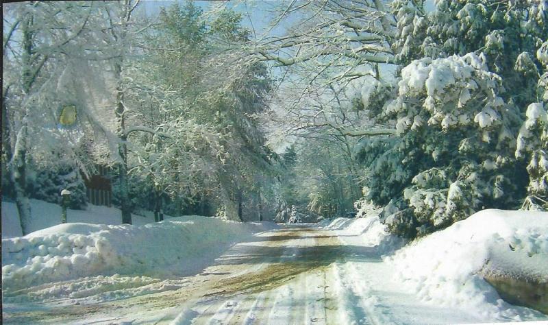 Waiting for this. (Photo courtesy Barbara F. Dyer)
