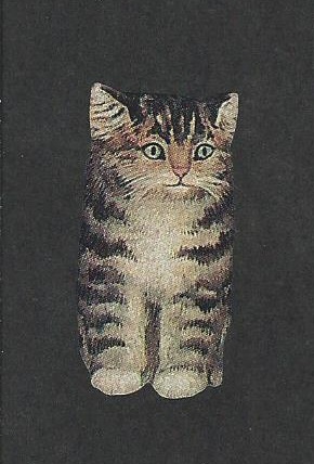 Snooky look-alike (Photo courtesy Barbara F. Dyer)