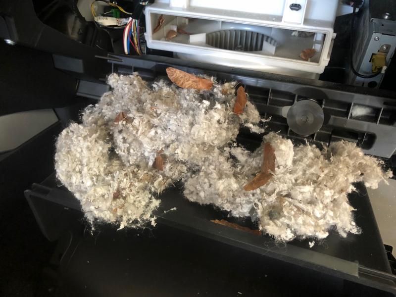 Mice nests in car. (Photo courtesy Hot Wax Auto Detail Center)