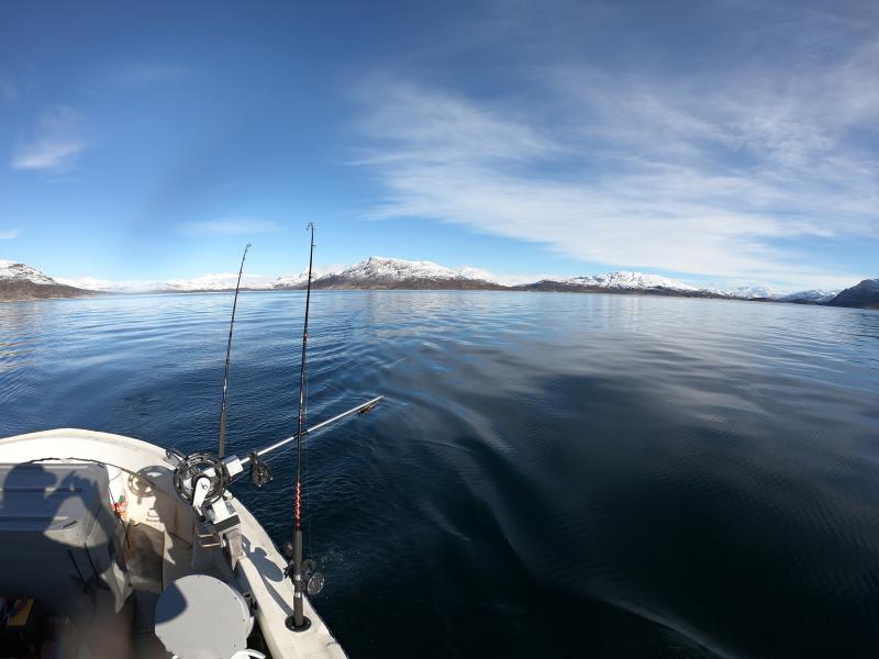 Trolling for Atlantic salmon in Greenland's Igaliko Fjord. Photo credit: NOAA Fisheries/Tim Sheehan