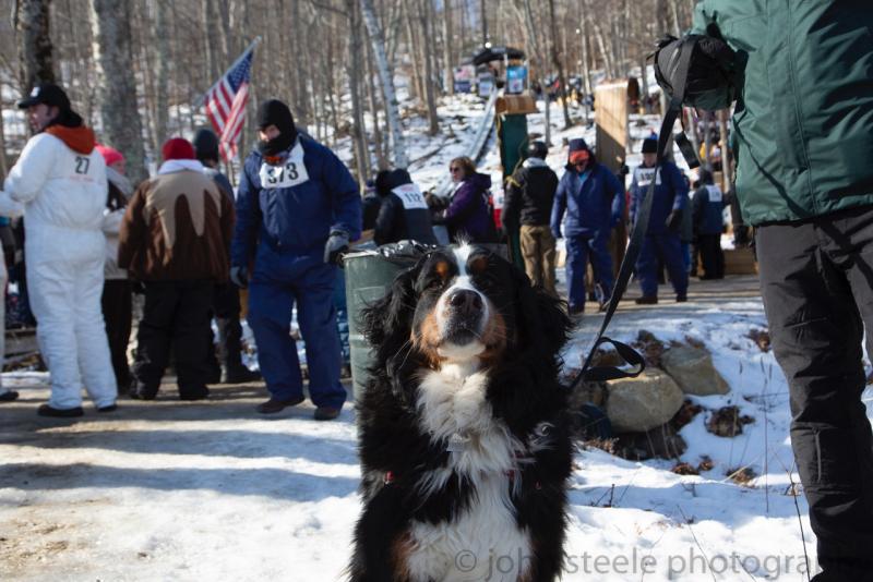 (Photo courtesy John Steele)