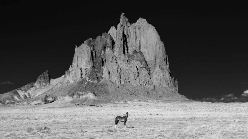 Brunswick photographer Doug Van Kampen’s “The West” won First Place in the Infrared Special Category. Courtesy of MPS Doug Van Kampen