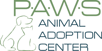 paws animal shelter camden