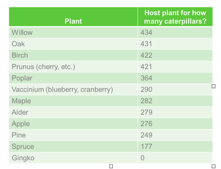 Winterberry Pollination Chart